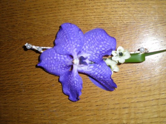 Fialové orchideje" Wanda"