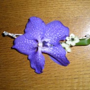 Fialové orchideje" Wanda"