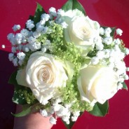 Bílé růže, gypsophila, zeleň - dokulata