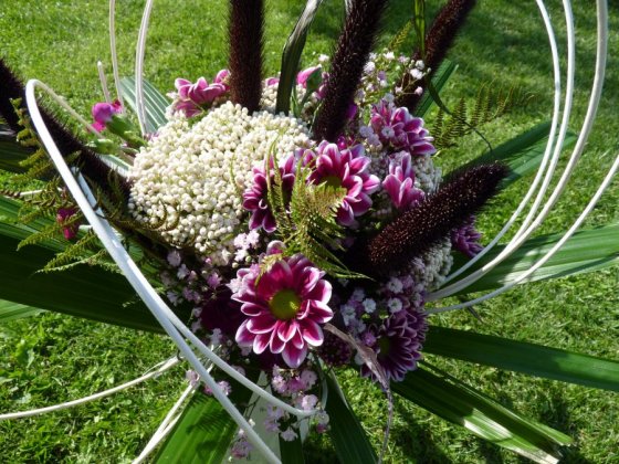 Chryzantémy, proso a pedig