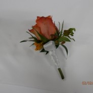 Oranžová růže